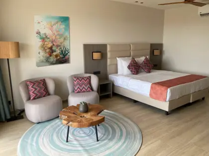 Room_stef-scaled